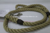 Cotton Rope for Pet Accessories/Pet Belt