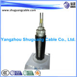 Al Tape Screened/XLPE Insulated/PVC Sheathed/Stranded/Instrument Cable