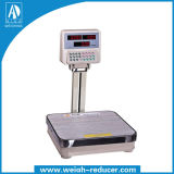 Belt Arm Double Tube Table Price Computing Scale (A-606)