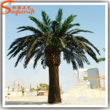 Garden Decoration Artificial Date Palm Plant Trees