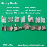 Metal Bracket Dental Orthodontic Materials