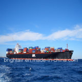 Cargo Shipping From China to Norfolk, Newark, New Jersey, Boston