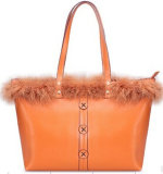 Ladies Handbag (JZ17021)