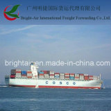 Efficient Sea Freight From China to Zarate, Argentina