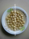 Canned Champignons Whole in Brine with Nice Size, Colour, Taste (HACCP, ISO, HALAL, KOSHER, BRC, FDA)
