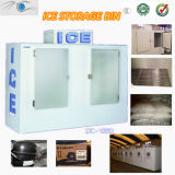 Indoor/Outdoor Bagged Ice Storage Bin/Ice Merchandiser/Ice Shop Equipment (CE Certificate)