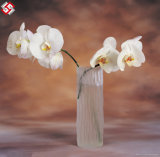 Beautiful Artificial Bonsai Home Decor Butterfly Orchid (AF-BO)