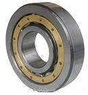Cylindrical Roller Bearings (NU1004)