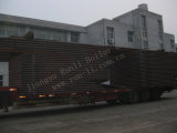 12t Coal-Fied Chain Grate Thermal Oil Boiler (YLW)