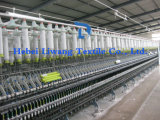 Polyester Spun Yarn with ISO9001 SGS