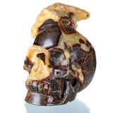 Natural Geode Turtlelike Jasper Human Skull Crystal Healing #0V14