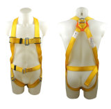 Safety Harness - 1 D Ring, Model# DHQS016