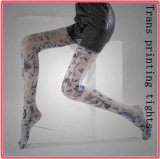 Fashion Trans-Printin Tights Pantyhose in Socks Stockings for Women (SR-1527)