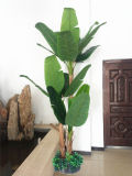 Yy-0894 Artificial Handmade Potted Banana Tree, Bonsai Plant Made in China