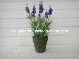 Artificial Cloth Lavender Bonsai (XD13-234)