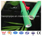 Plastic Pipe PPR Pipe for Water Supply