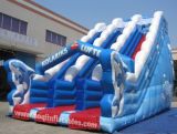 Inflatable Slide (AQ01138)
