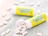 Coolsa 21g Fruit Flavor Coated Chewing Gum