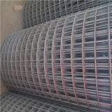 Welded Wire Mesh with Competitive Price (AH-1706)