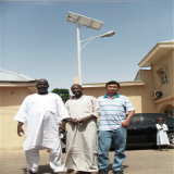 5m 30W Solar LED Street Lights