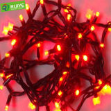 LED Twinkle Light for Holiday Decoration