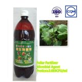 Leaf Fertilizer- --Algae Biobacterial Manure