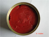 Kinds of Packing Tinned/ Canned Tomato Paste with Private Label