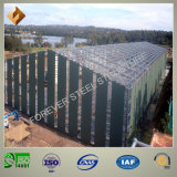 High Standard Industrial Steel Building Fabrication with Big Capcity