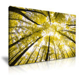 The Autumn Trees Canvas Prints for Home Decoration