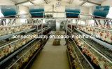 Automatic Poultry Farm