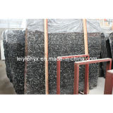 China Stone Sea Shell Black Marble Slate