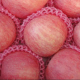 High Quality for Exporting Fresh FUJI Apple
