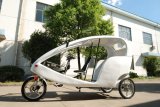 Hot Selling China Manufacture Electric Tricycle in High Configuration (JB500DQZK)