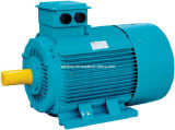 Cast Iron Housing Y2 Series Electric Motor