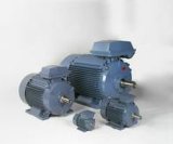 Cast Iron Totally-Enclosed Three-Phase Induction Motors