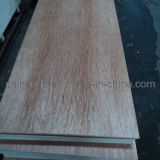 Bintangor Face and Back Commerical Plywood