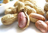Non-Gmo Health Peanut Inshell for Hot Sale