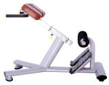 Commercial Gym Equipment Roman Chair Machine