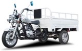 Professional Manufacture Cargo & Passenger Tricycle