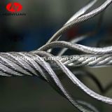 Hot DIP Galvanized Steel Wire Rope