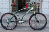 Carbon Fiber Mountain Bike Mountain Bicycle (AFT-MB-143)