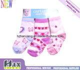 OEM Socks Exporter Cotton Child Spring Socks Baby Socks (hx-0737)