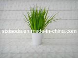 Artificial Plastic Grass Bonsai (C0284)