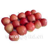 Red FUJI Apple in Good Quality