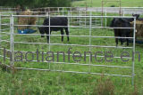 Livestock Fence