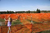 1X50m Orange HDPE Safety Fence (CC-BR)