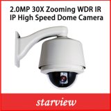 2.0MP 30X WDR IP Poe Outdoor Network PTZ Dome Camera
