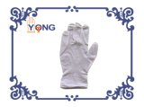 Latex Examination Gloves with or Without Powder