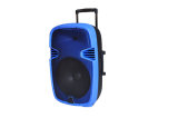 15 Inch Trolley Speaker with USD SD Mic F23