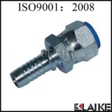 Npsm Female 60degree Cone Hydraulic Coupling (21611)